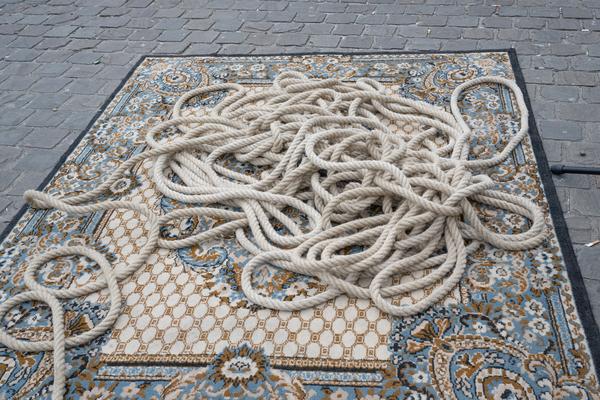 (image : Bea Borgers) (image : Bea Borgers)